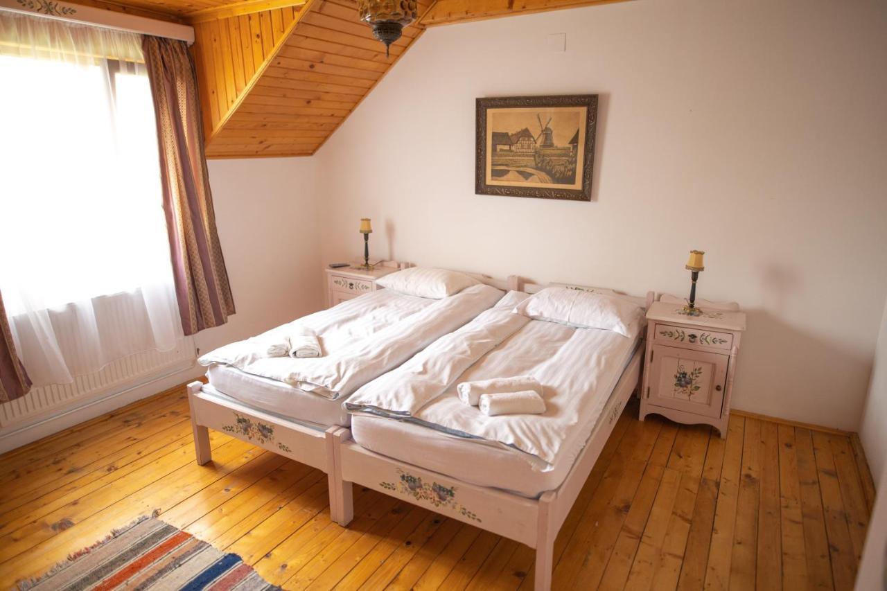 Pensiunea Sachsenhof Bagaciu Экстерьер фото