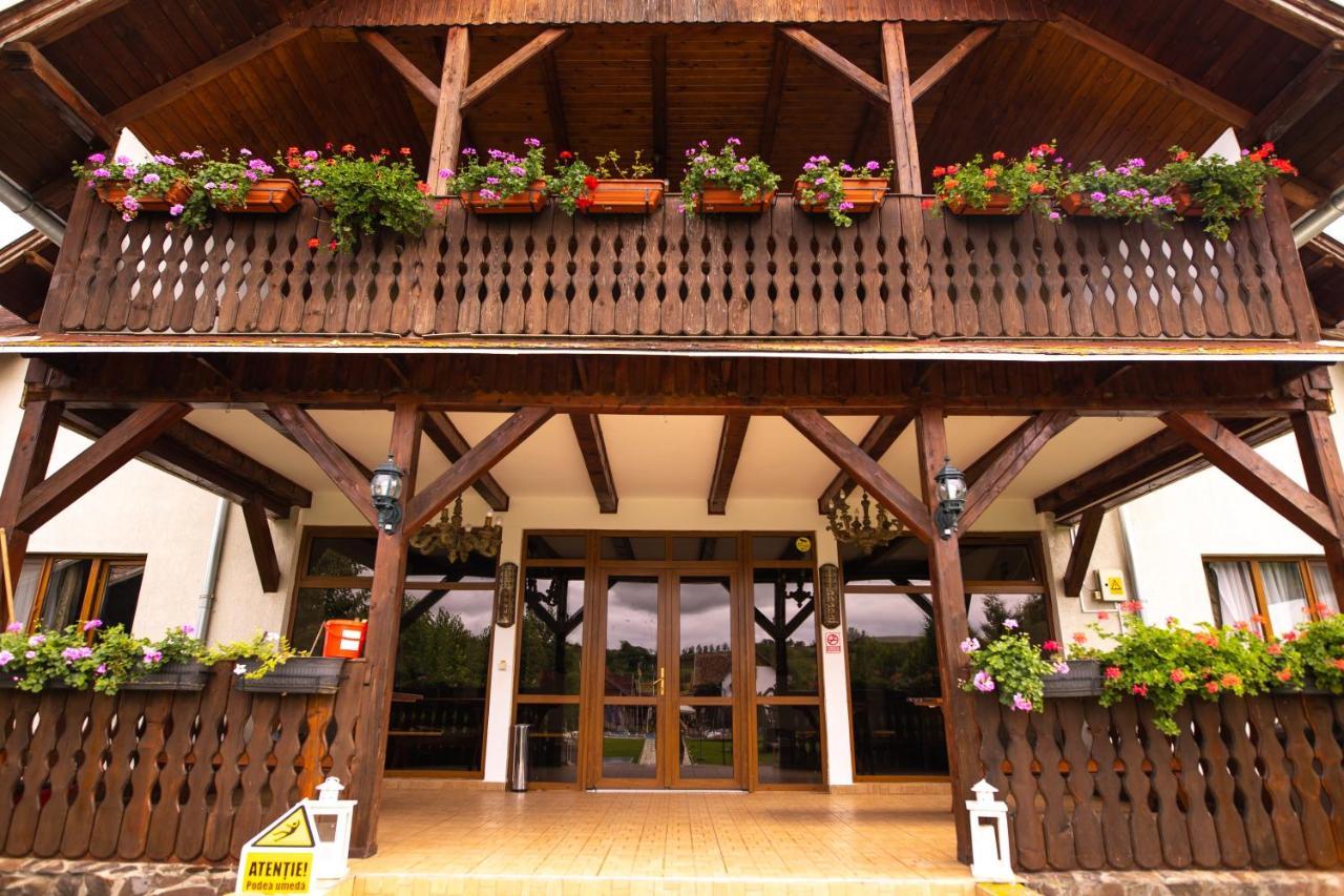 Pensiunea Sachsenhof Bagaciu Экстерьер фото