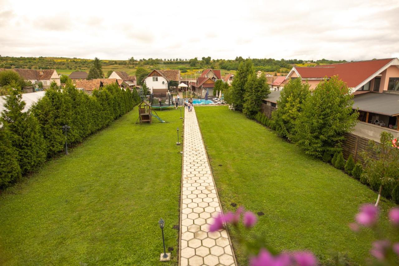 Pensiunea Sachsenhof Bagaciu Экстерьер фото