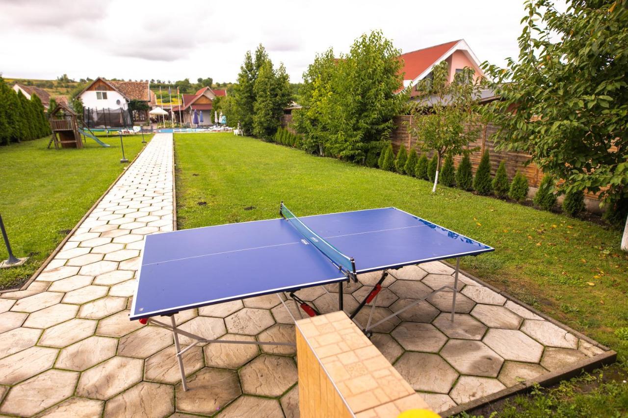 Pensiunea Sachsenhof Bagaciu Экстерьер фото