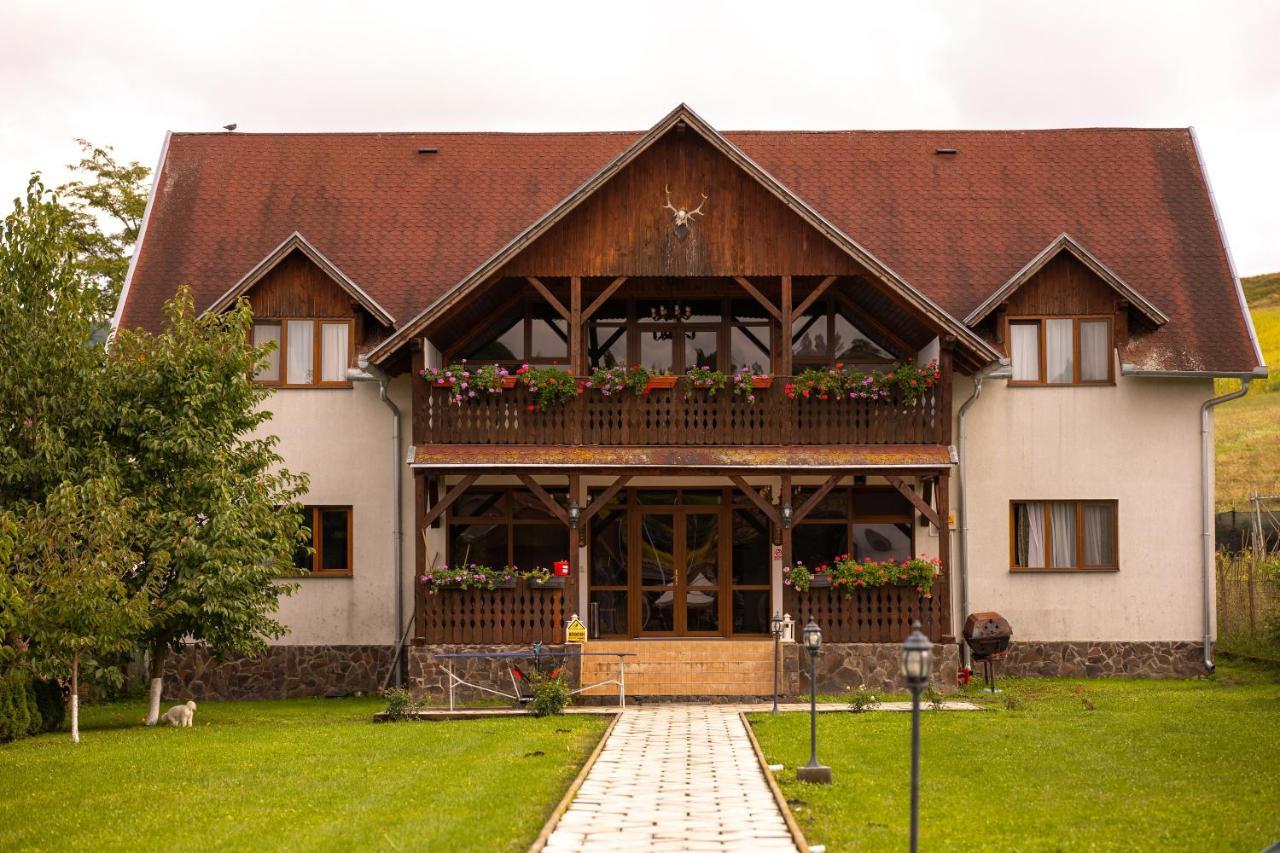 Pensiunea Sachsenhof Bagaciu Экстерьер фото