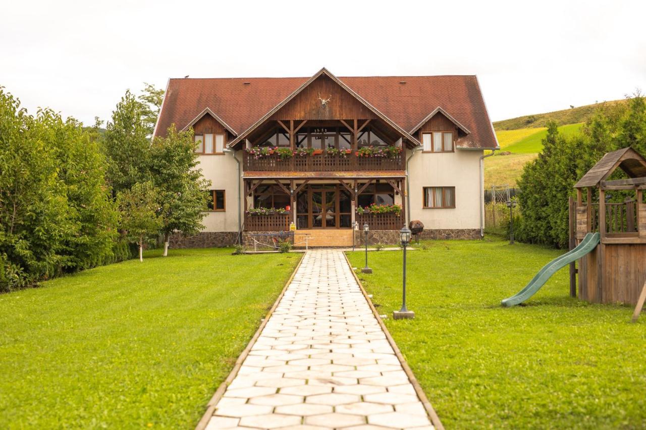 Pensiunea Sachsenhof Bagaciu Экстерьер фото